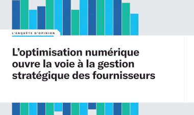 Digital optimization paves the way for management supplier strategy