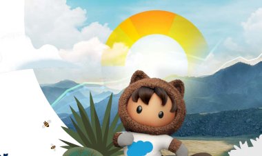 FY24 Stakeholder Impact Report