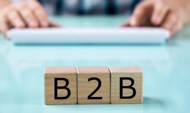 Business Services (B2B) Industry – Accounting Firms and Strategy Cuts