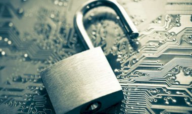 Surge in Application-Based Viruses Raises Cybersecurity Concerns