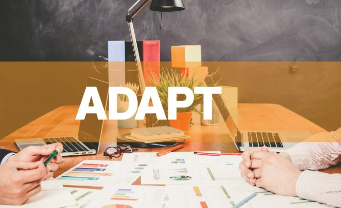 The Importance of Adaptability in Modern Business Strategies