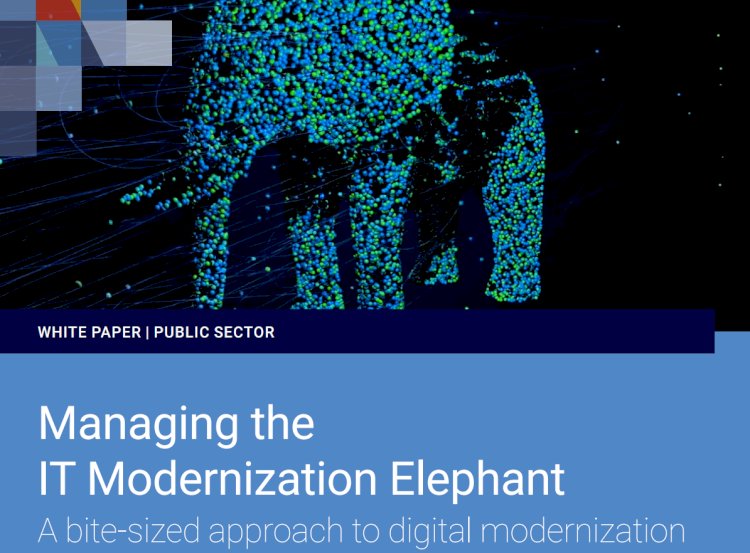 Managing the IT Modernization Elephant A bite-sized approach to digital modernization